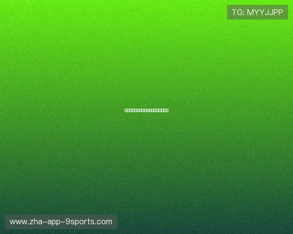 热议球员：新援首秀表现被球迷疯狂讨论